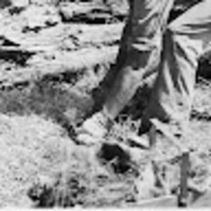 Meet your Posher, Sean gavin